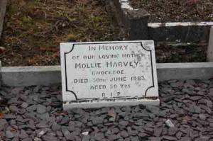 Harvey Mollie Knockroe